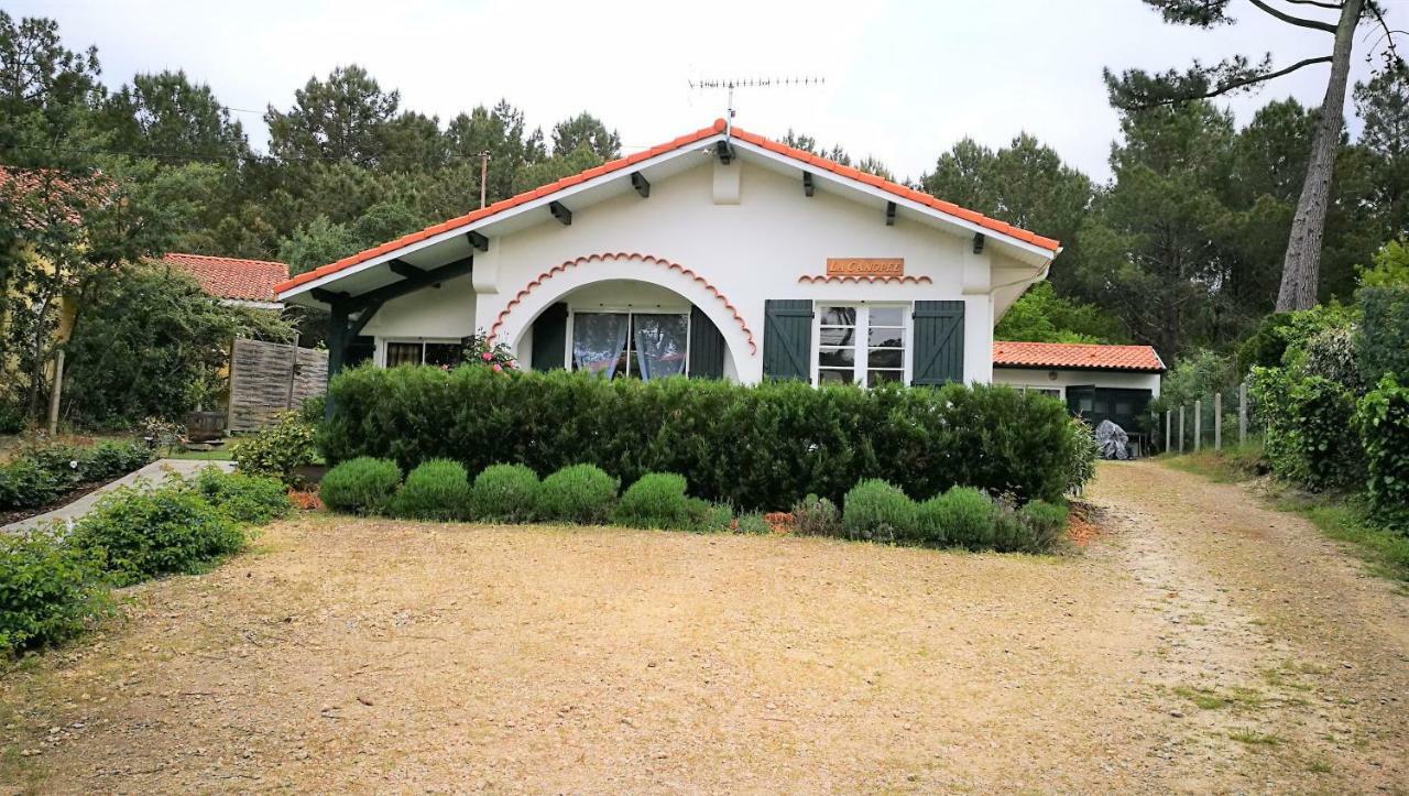 La Canopee Mimizan Luaran gambar